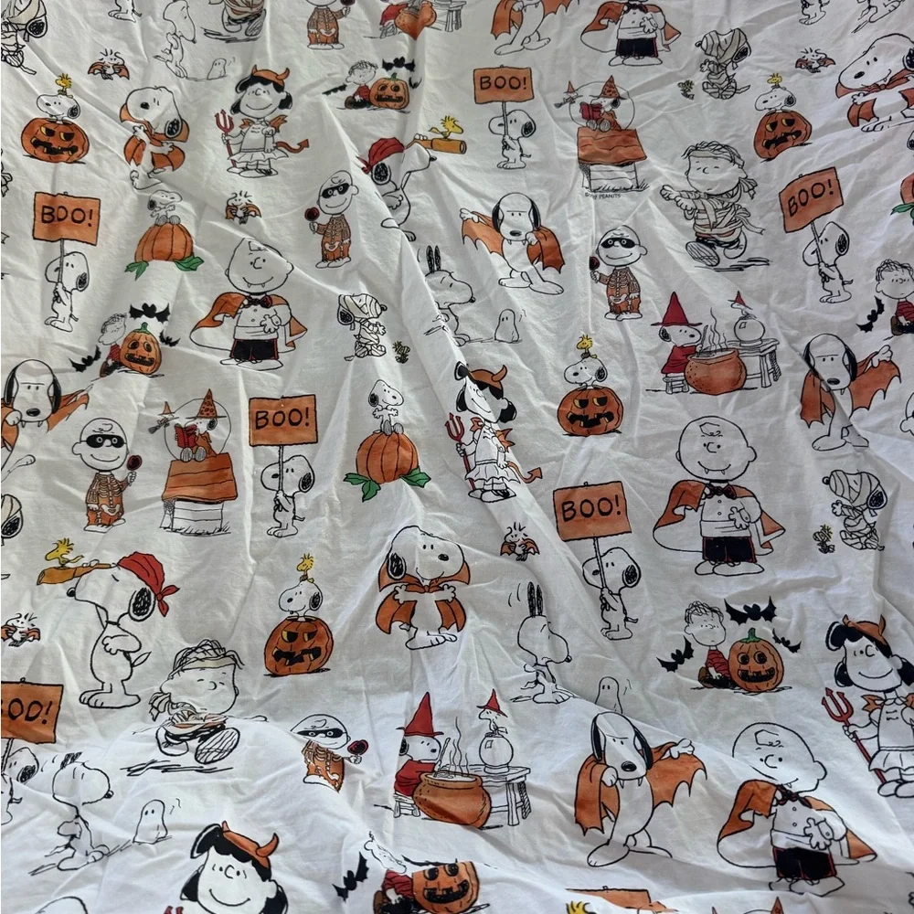 Pottery Barn kids Peanuts Snoopy HALLOWEEN sheet